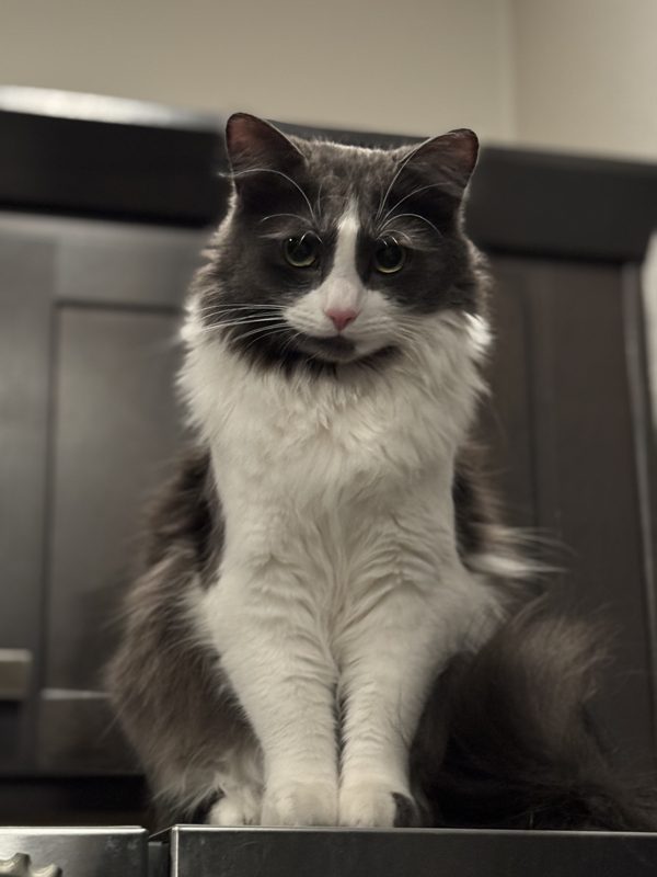 Jackie, CFO and Chief Fluff Officer